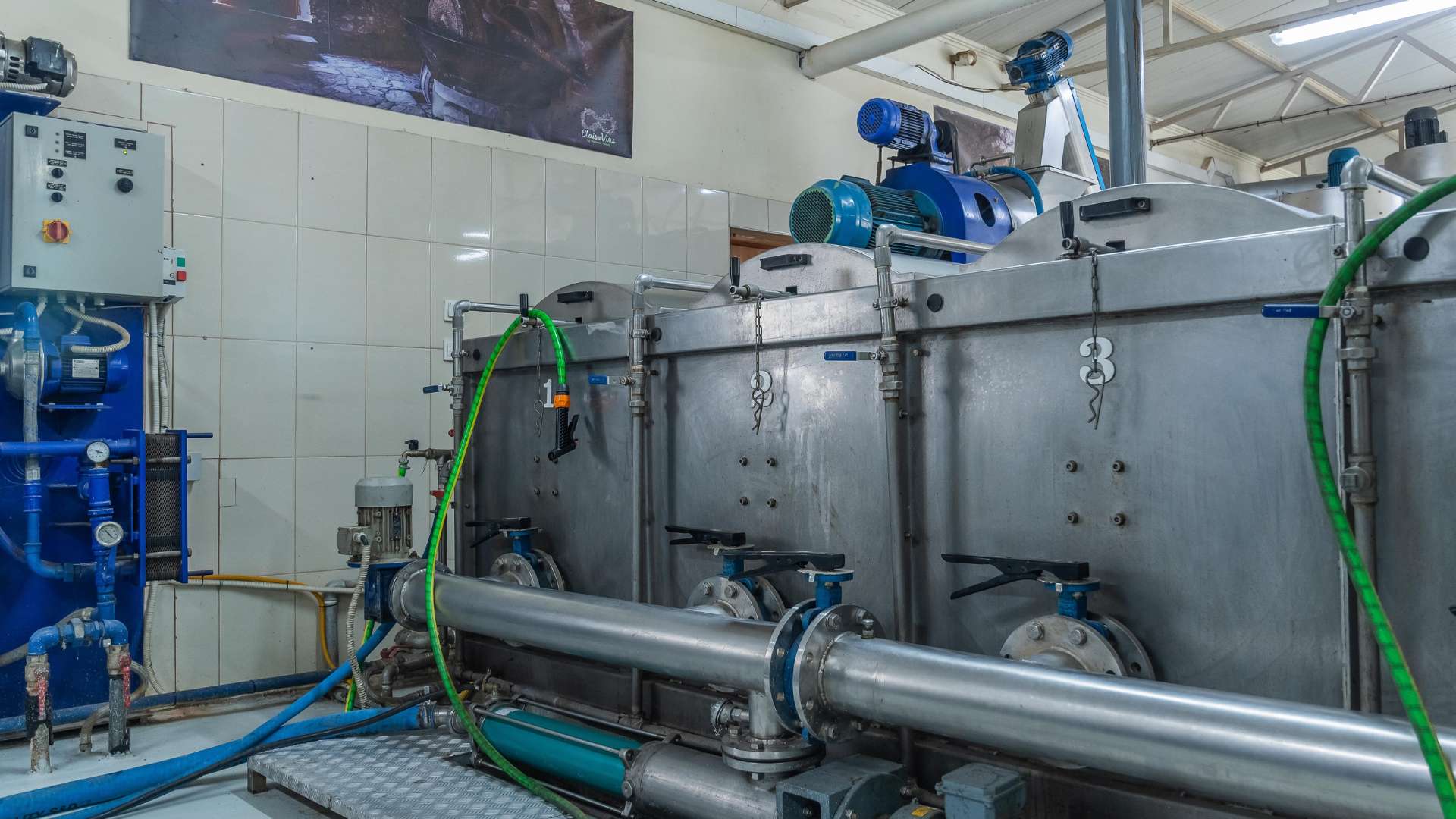 Greek virgin oil processing