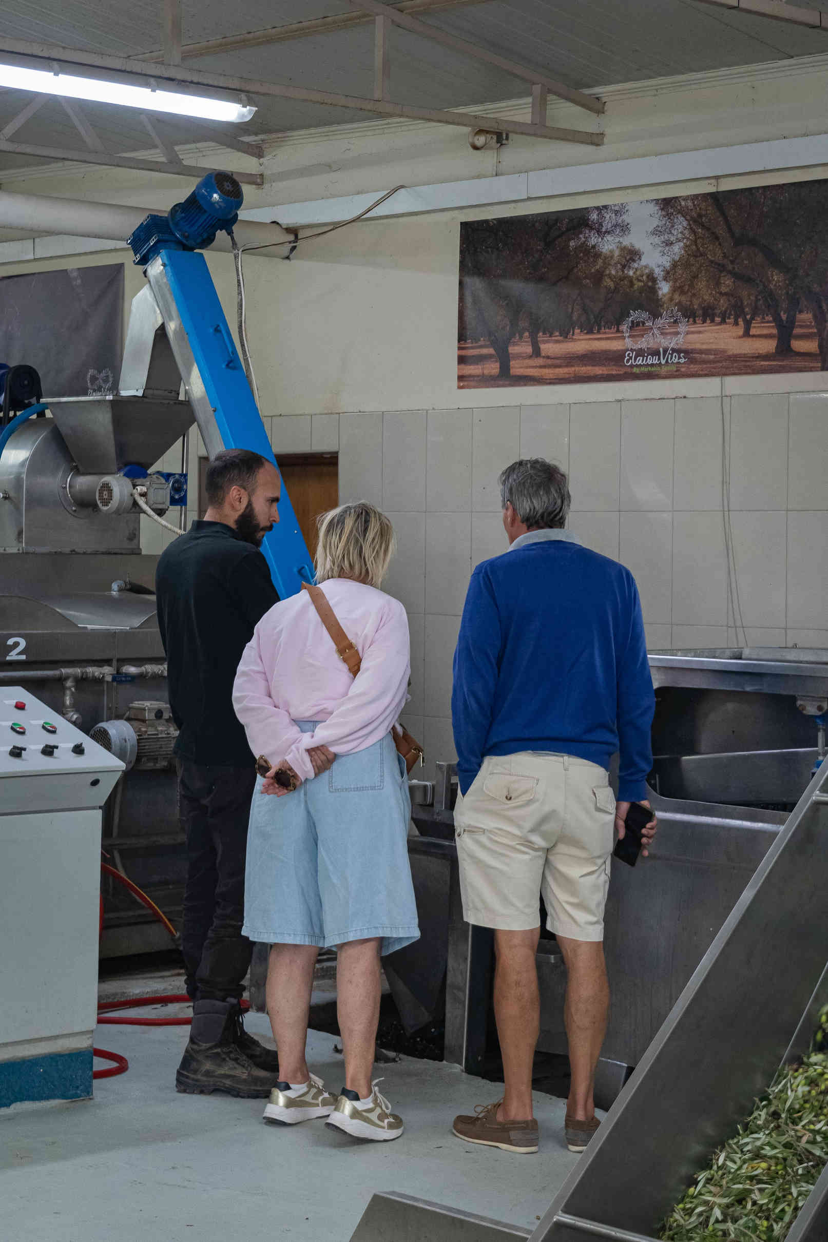 Olive Oil Tasting Journey in Our Oilve Oil Mill